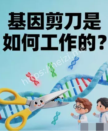武汉艾滋病基因剪刀